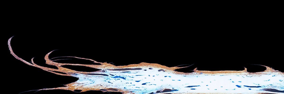 nullthorn's profile banner image