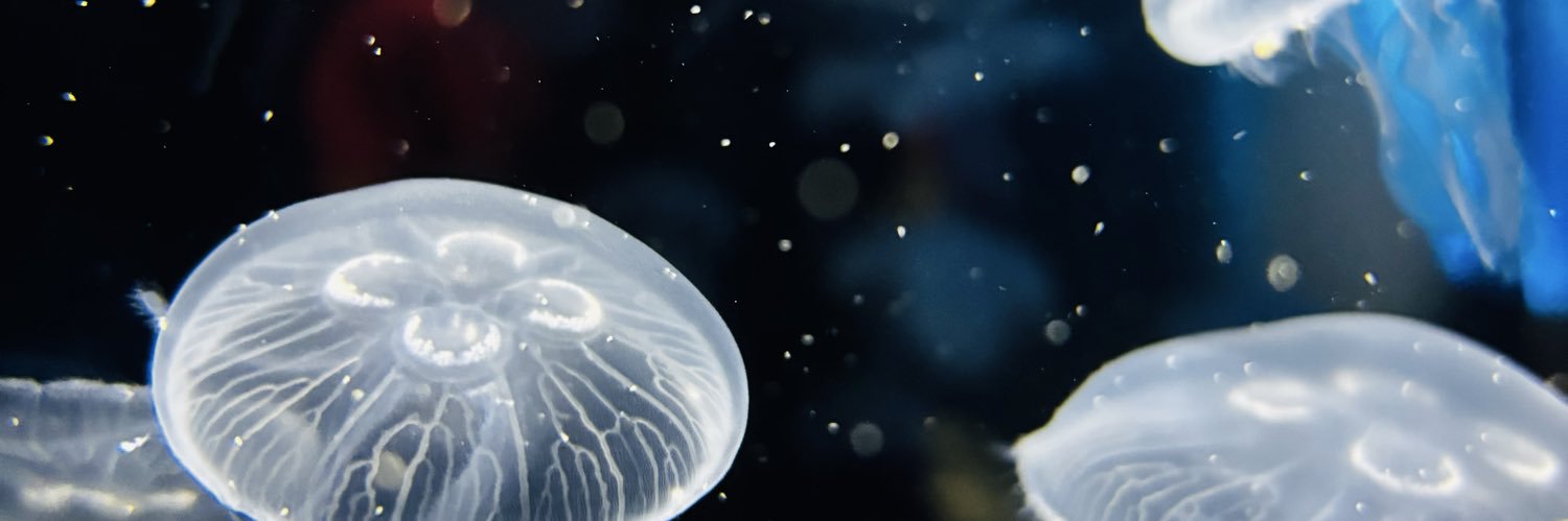 wtrno's profile banner image
