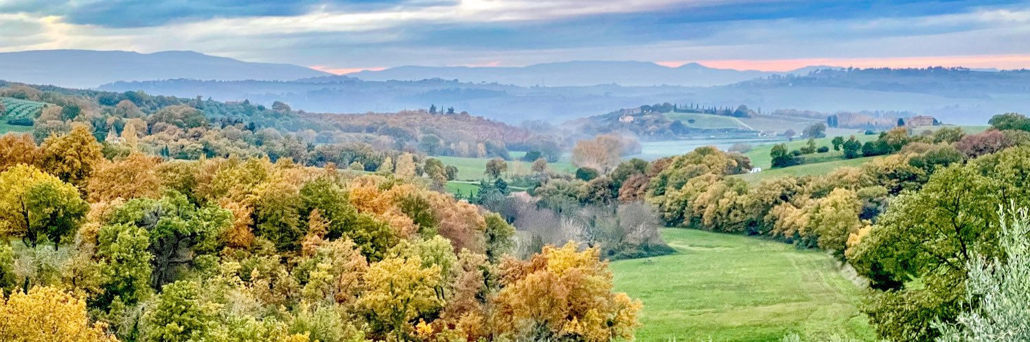 dhinden's profile banner image