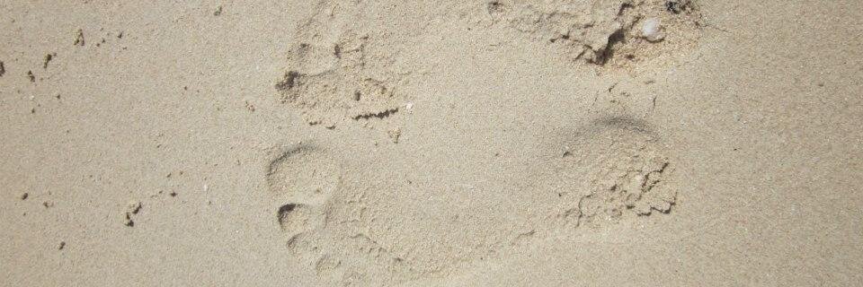 JoLMurphy's profile banner image