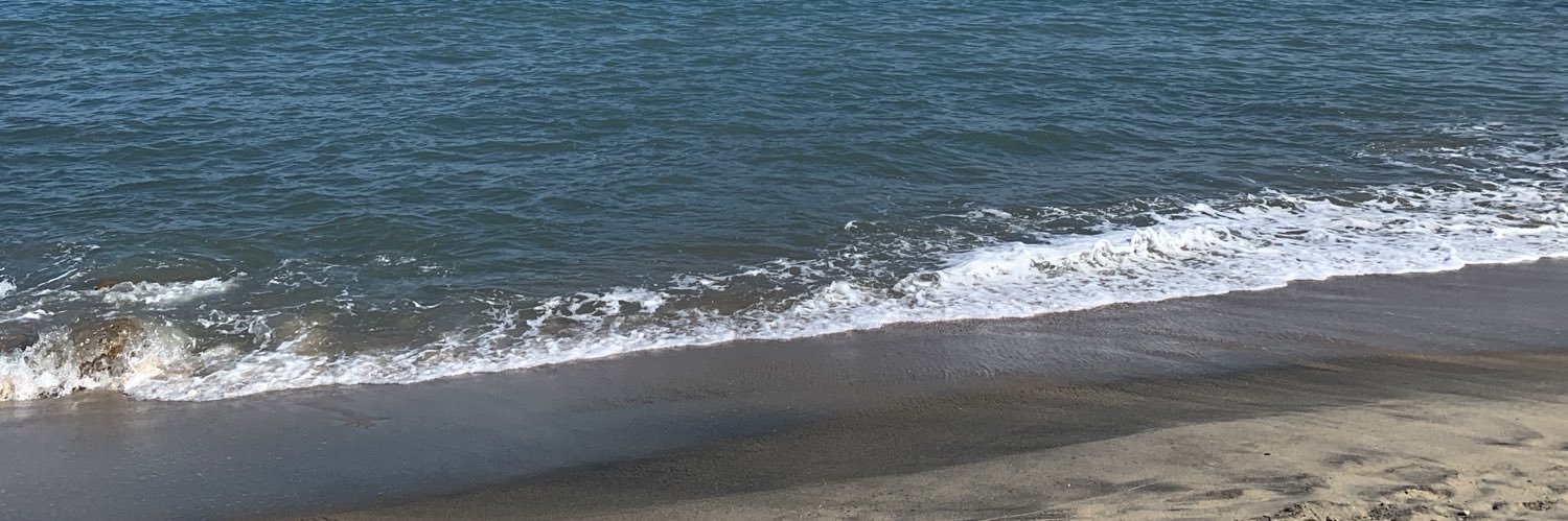 picconi_s's profile banner image