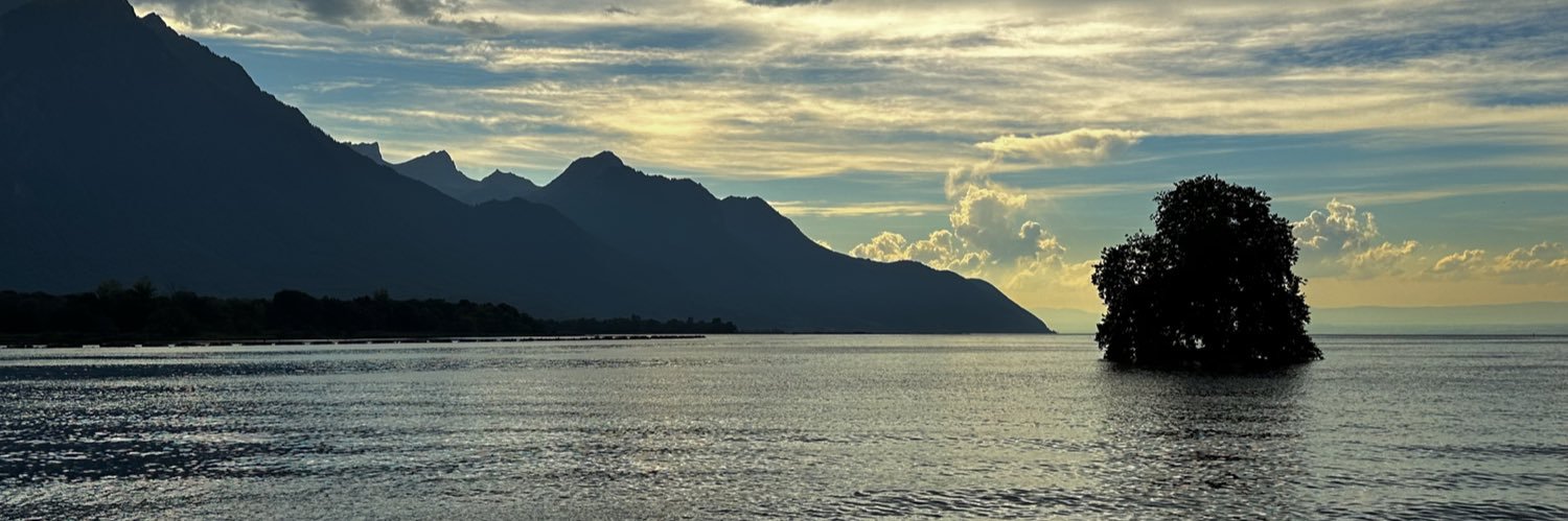 Benjamin Pontis banner