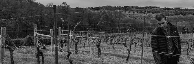 Jones Family Farms banner