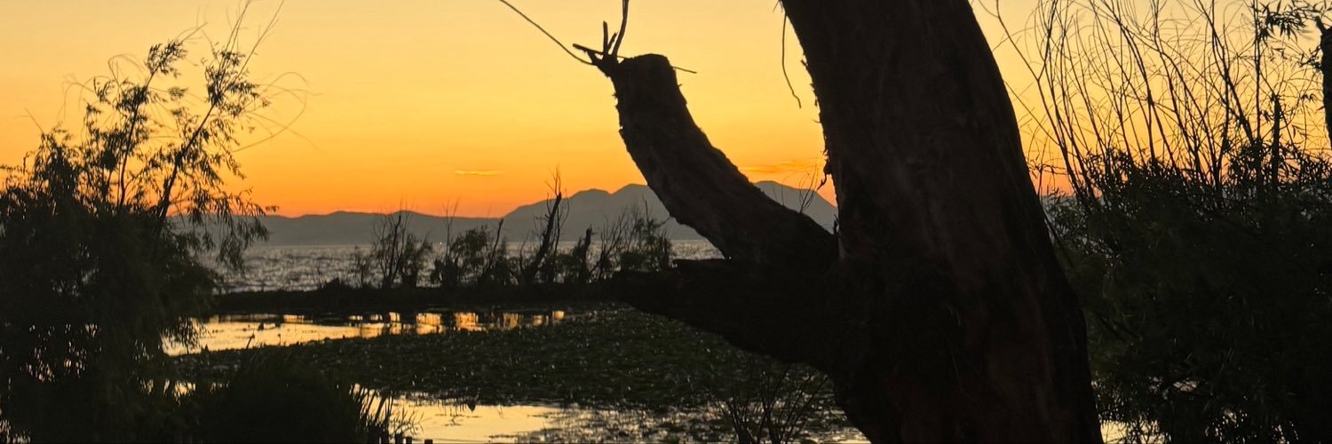 Juzigwlb's profile banner image