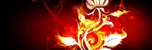 ben2xok Profile Banner