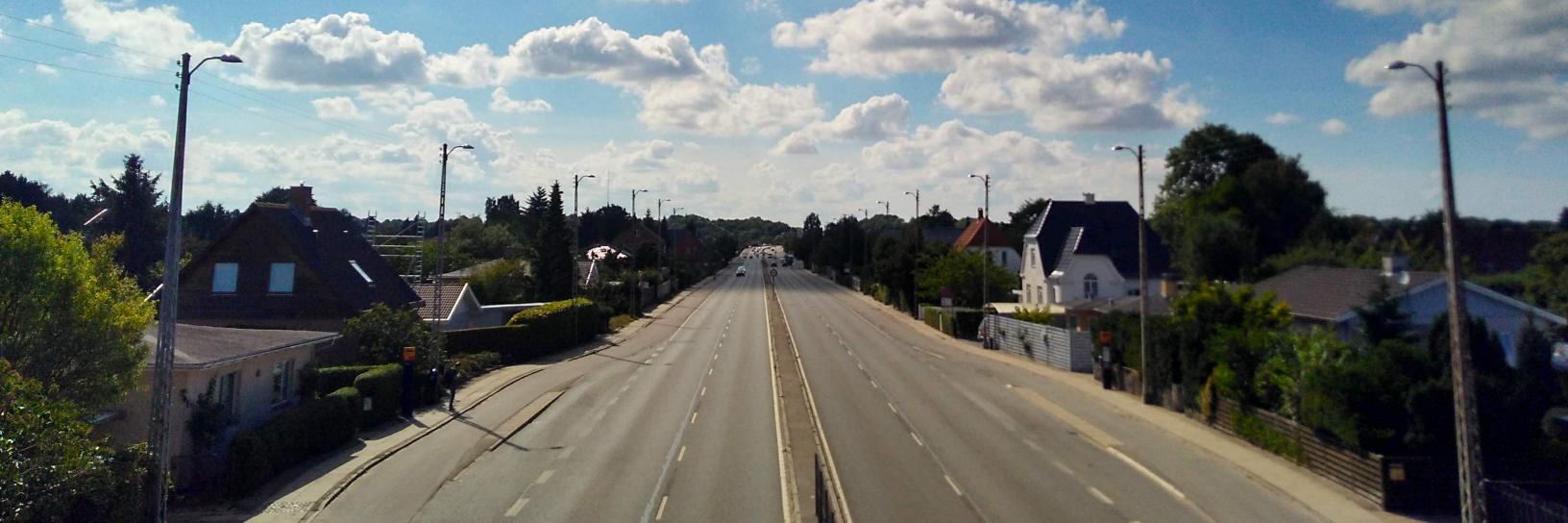 Carol Chávez banner