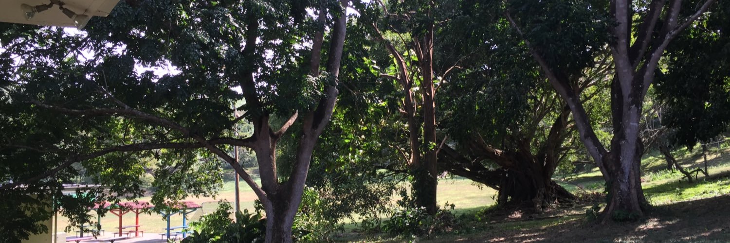 Ivette Berrio banner