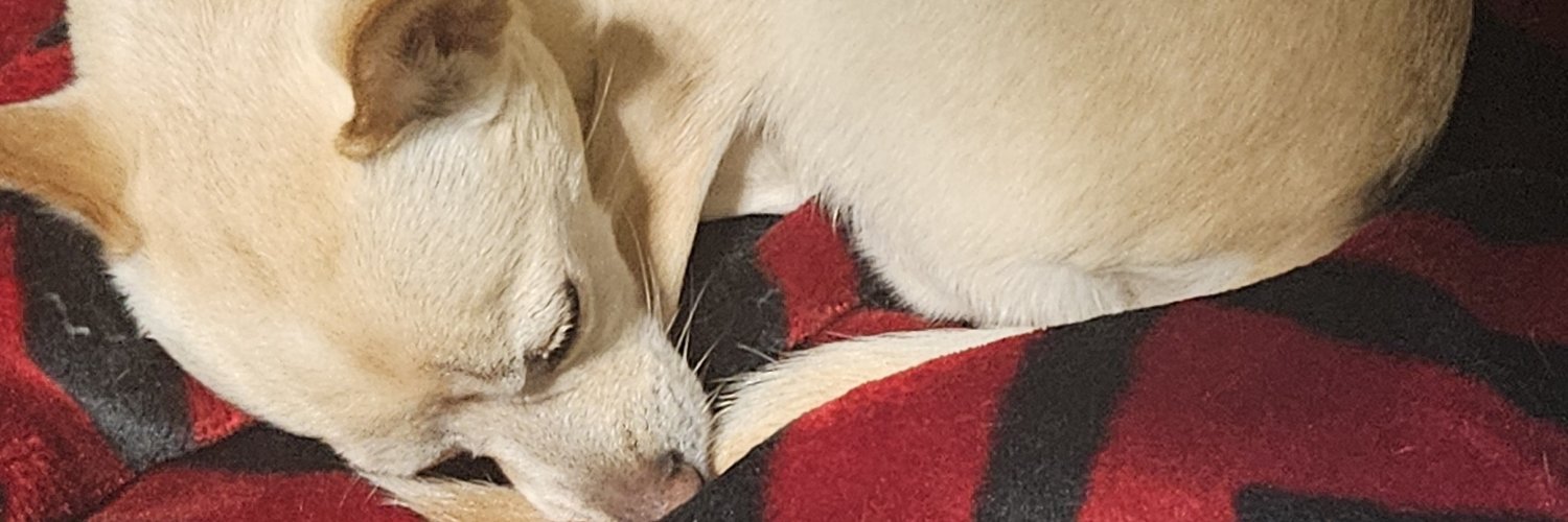 Dj390m's profile banner image