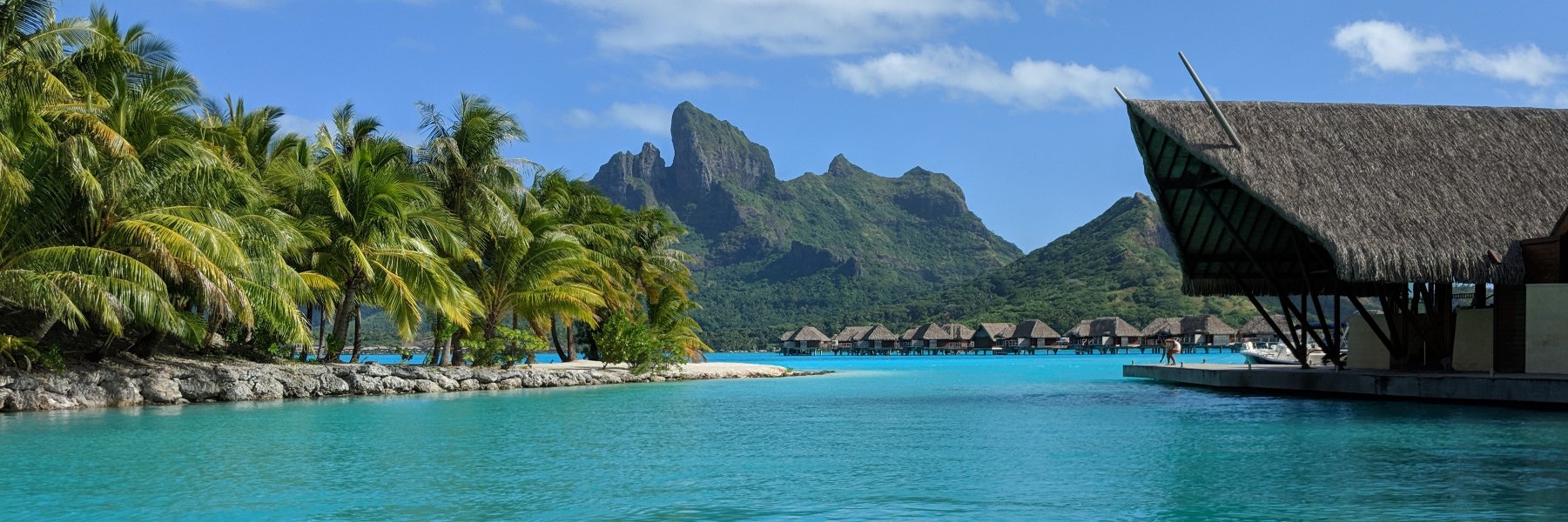 Michelle Kessler banner