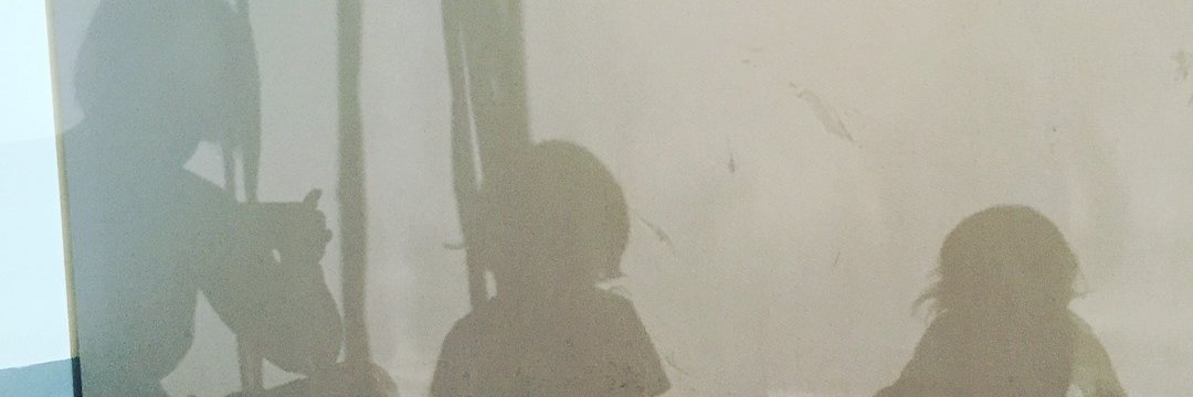 Victoria Kirk banner