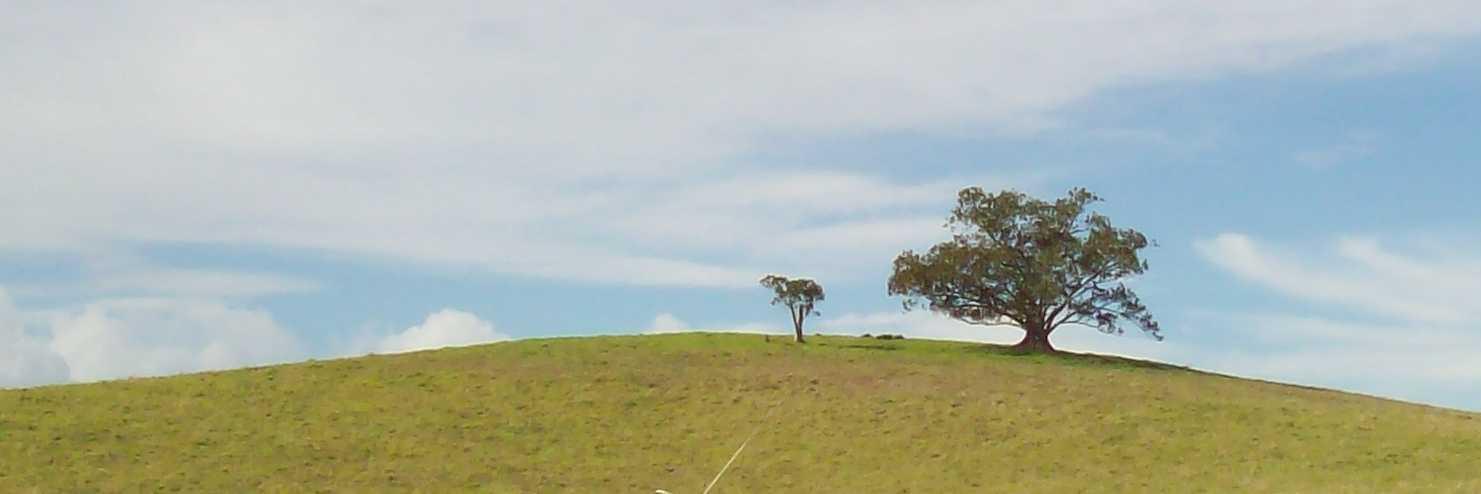 Michael Clarke banner