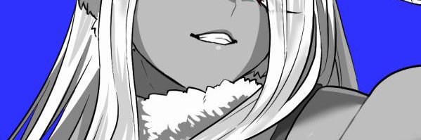 HungBBCBunny's profile banner image