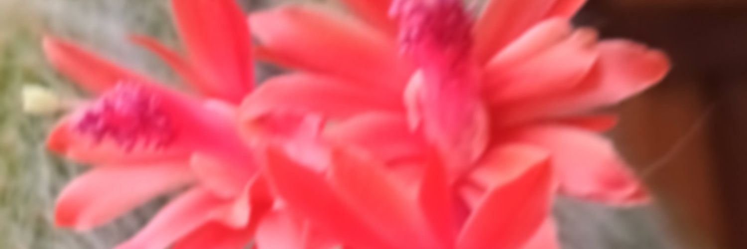 ♒🆂🆄♒ banner