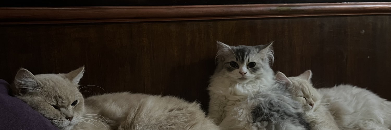 tea_waterrr's profile banner image