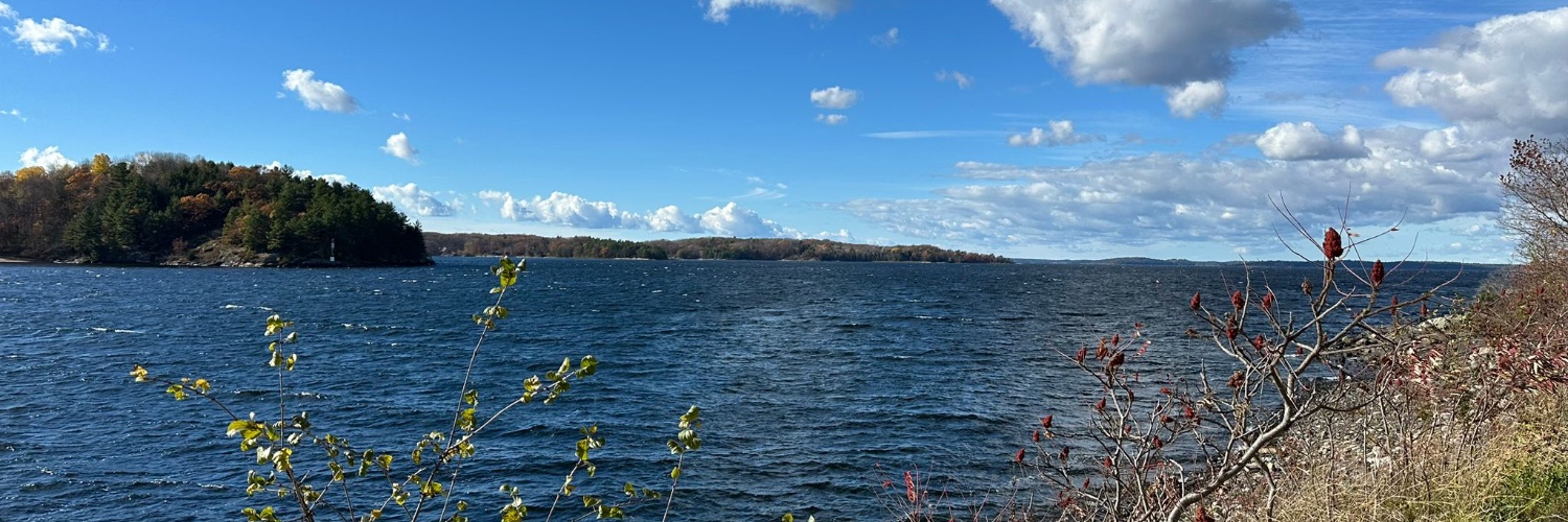 Sylvia Wrath 🇺🇦🇵🇸 banner