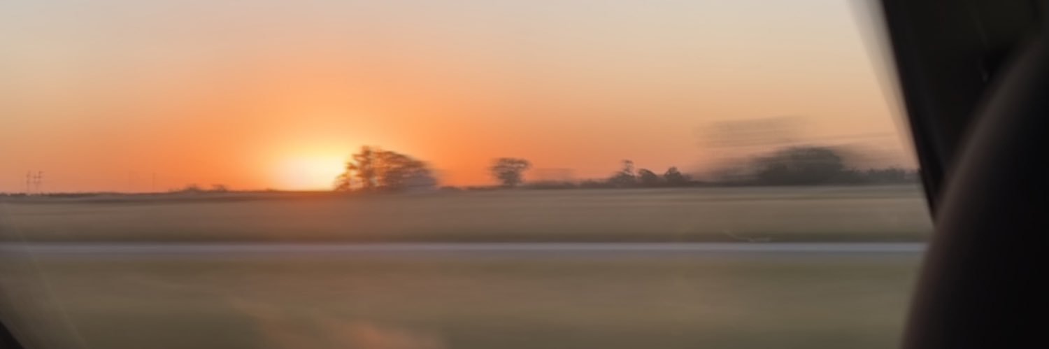 florartigas's profile banner image