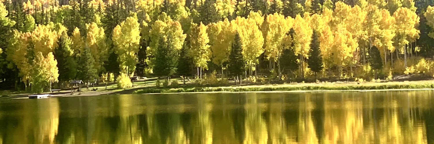 NicePeace's profile banner image