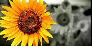 j3ss2011's profile banner image