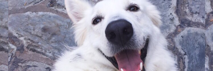 Belén Cisnero banner