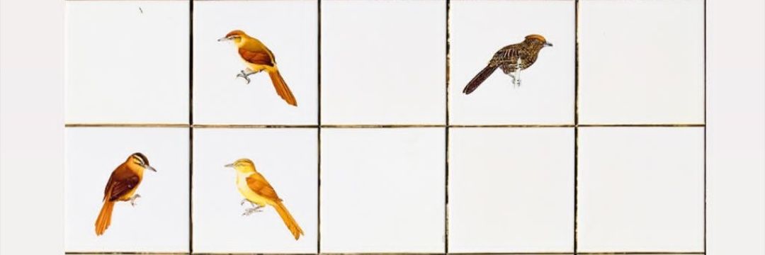juucande's profile banner image