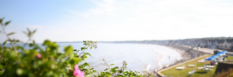 hughesbp's profile banner image