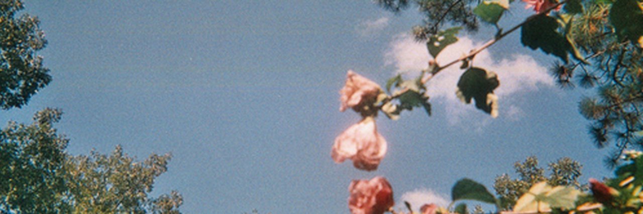 theemoni's profile banner image