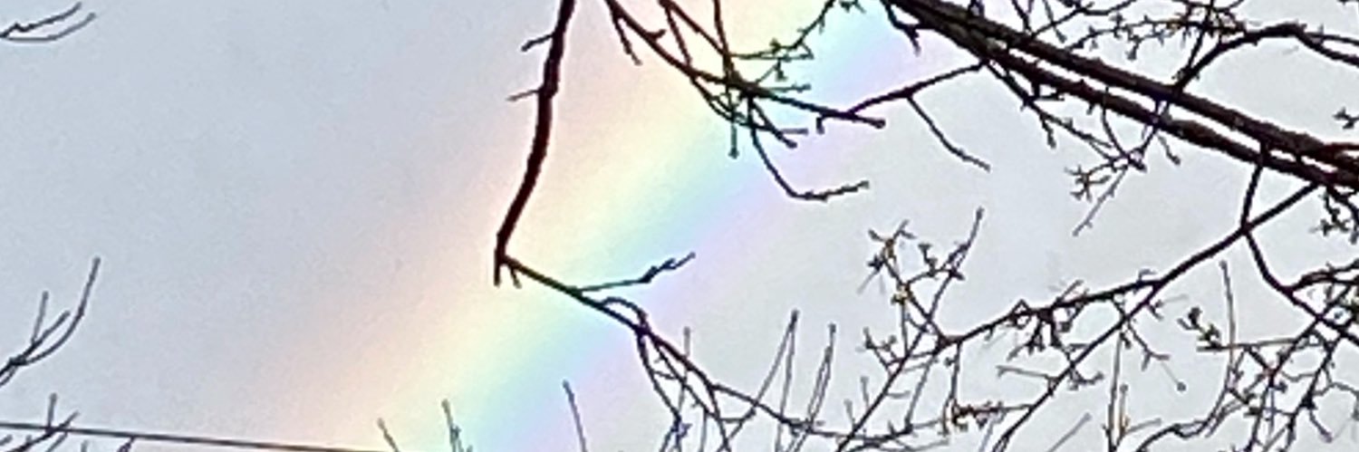 Brownielocks01's profile banner image