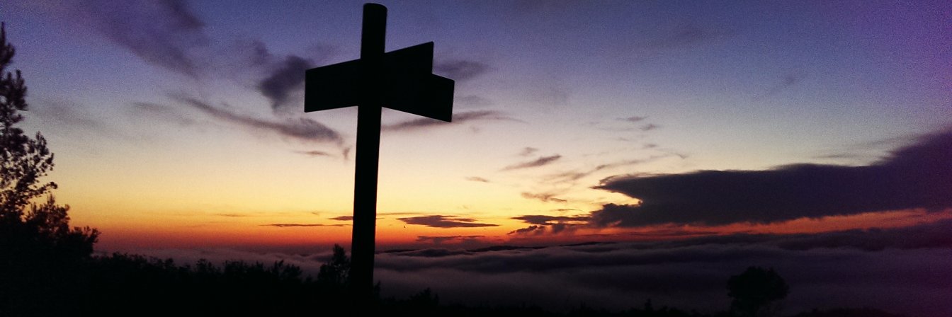 lomiquel's profile banner image