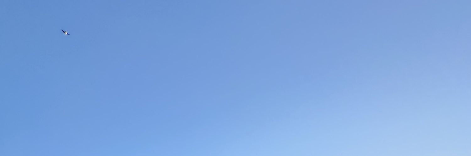 guamundesu's profile banner image