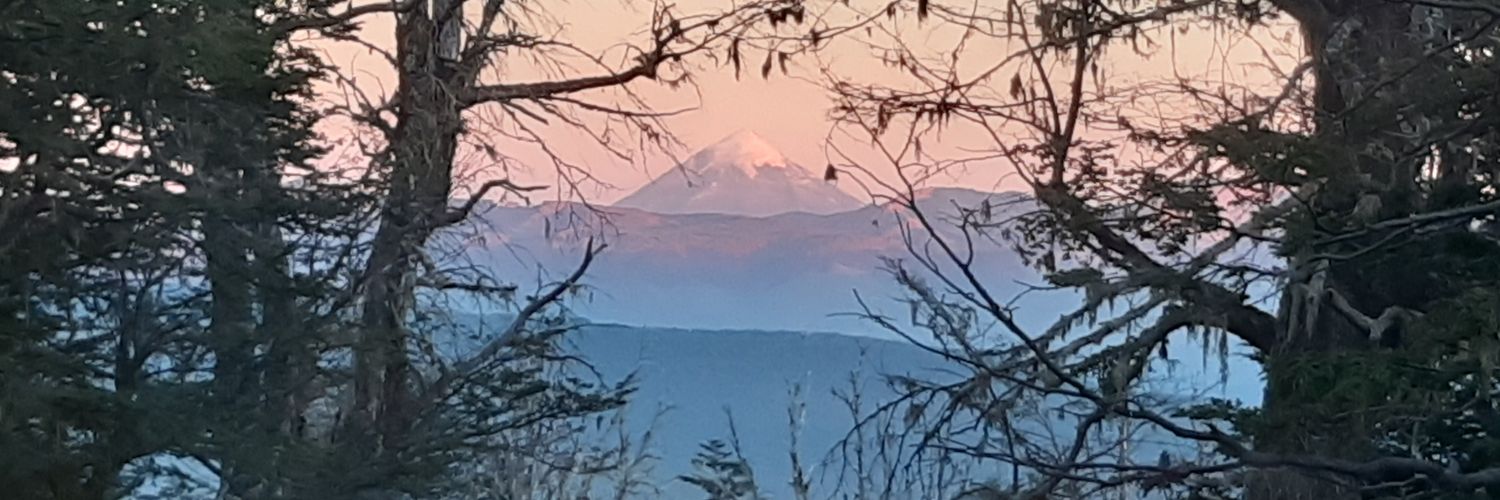 Andrea Smania banner