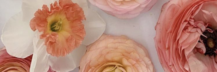 🧠 banner