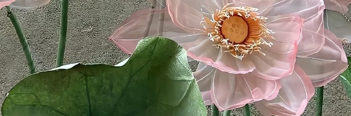 _malilan's profile banner image