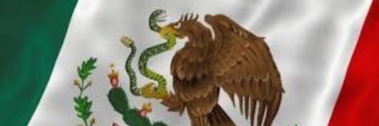 Alejandra Sota banner