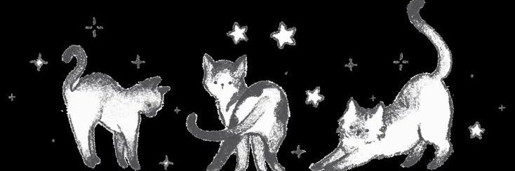 nnowihere's profile banner image