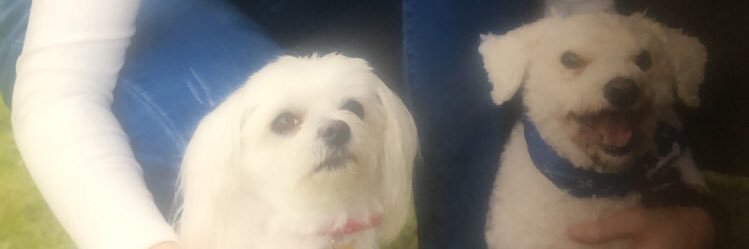 ruthmaryfleming's profile banner image