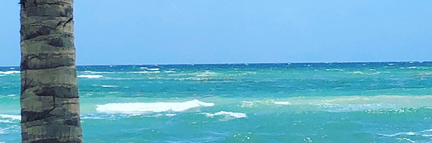 sandii30's profile banner image