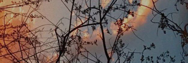 csvpaj's profile banner image