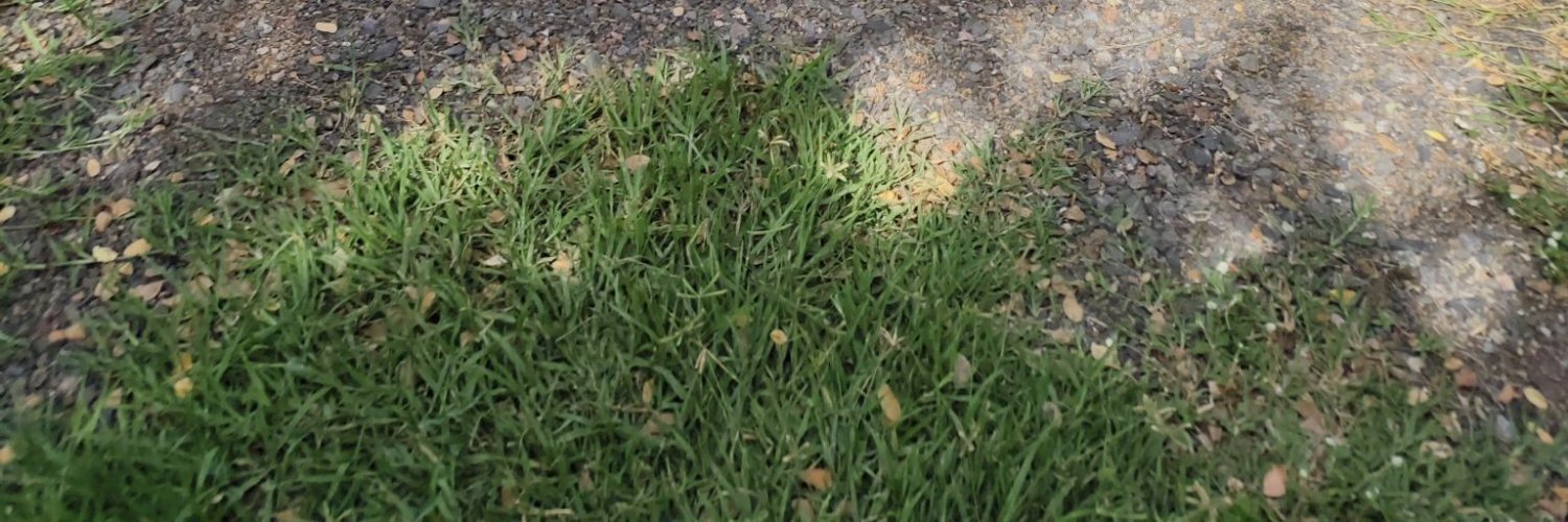 sandthousands's profile banner image