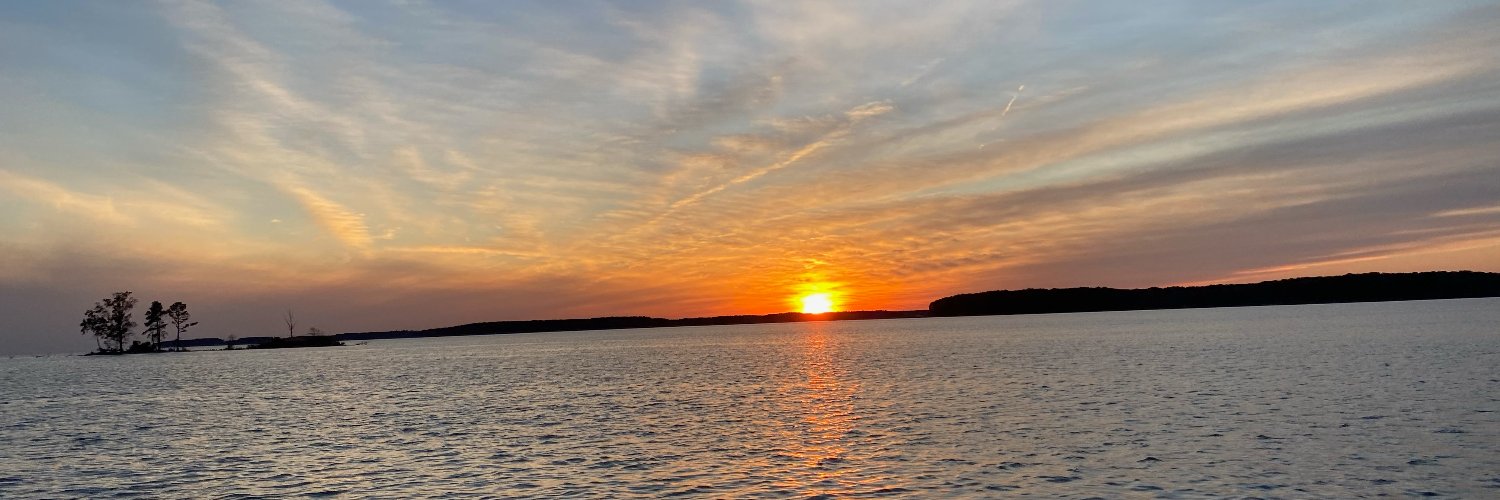 Ranit Schmelzer banner