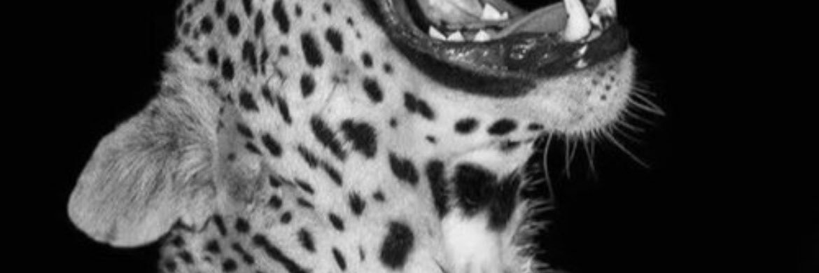 6_______67's profile banner image