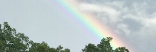 elbrownmcne's profile banner image