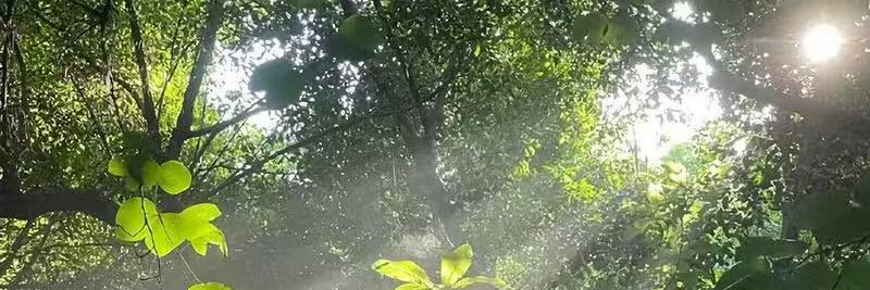 WHILErep's profile banner image