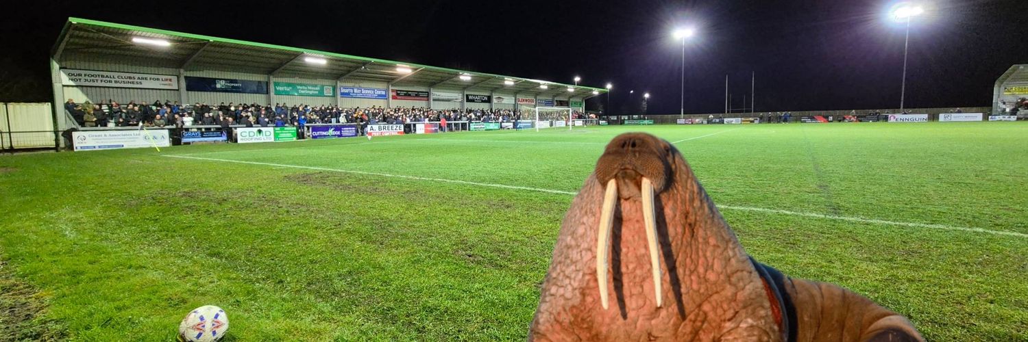 HartyDFC's profile banner image
