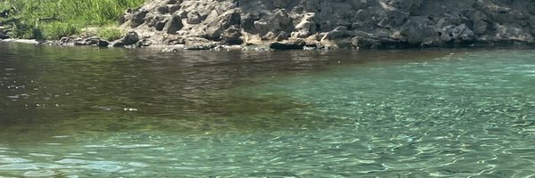 coviib Profile Banner