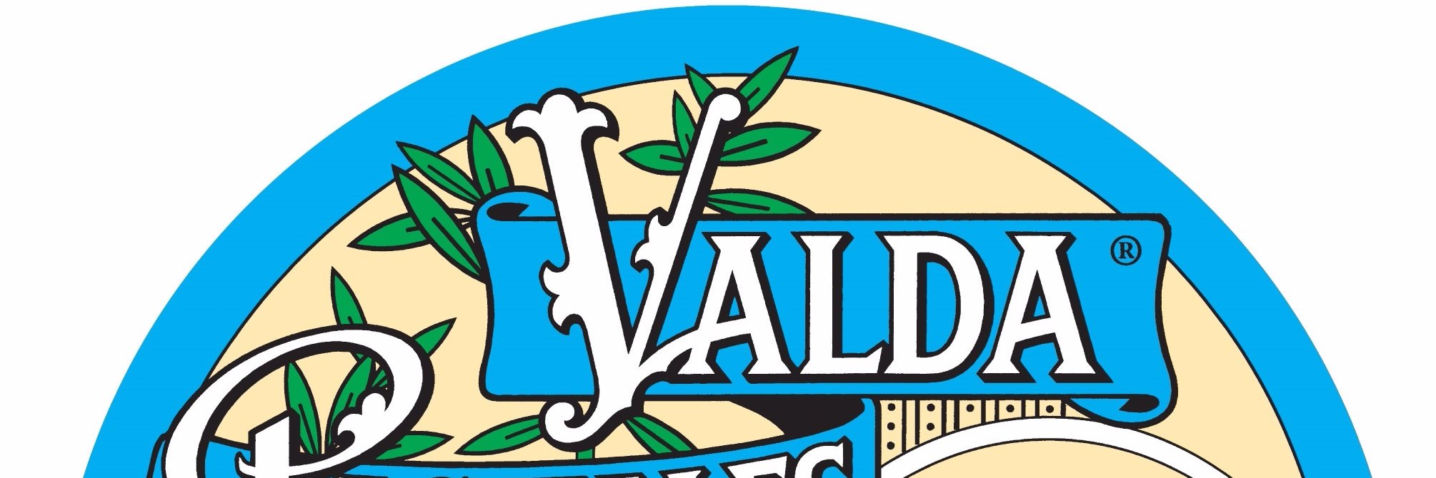 ValdaSoft's profile banner image