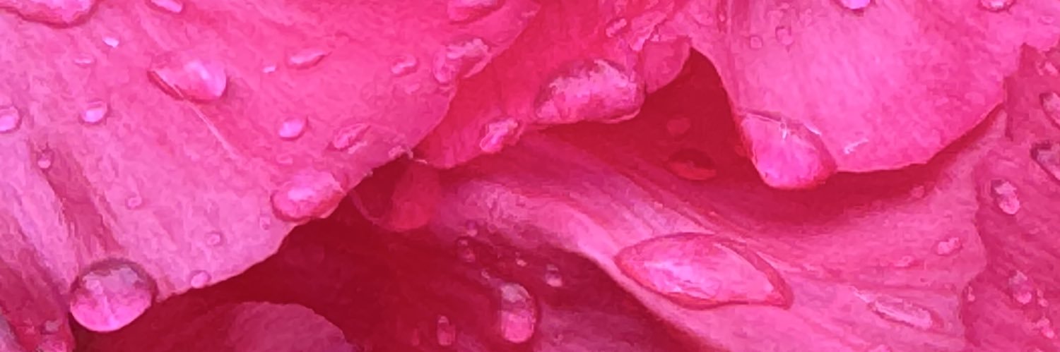 intweettion's profile banner image