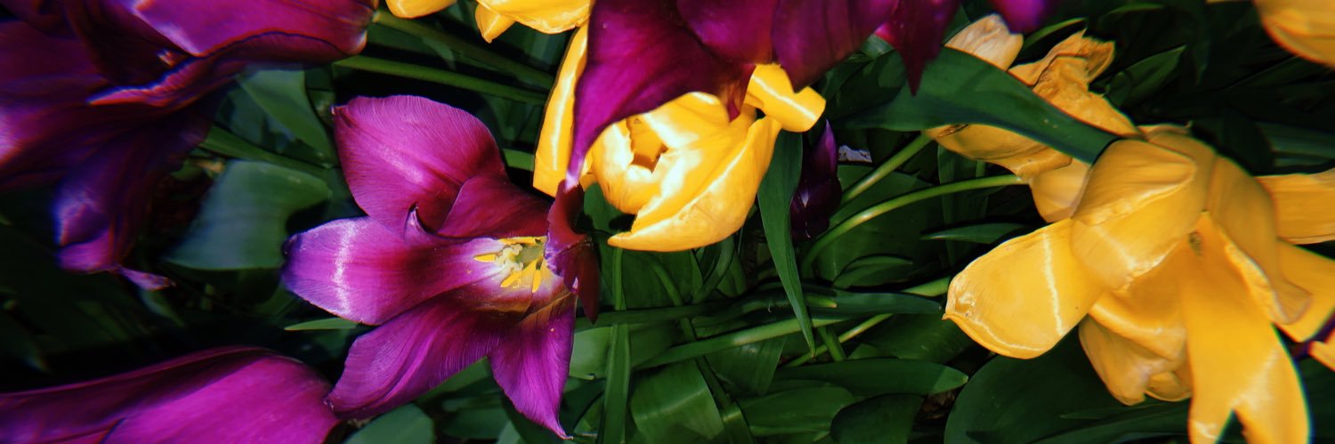hechosparamore's profile banner image