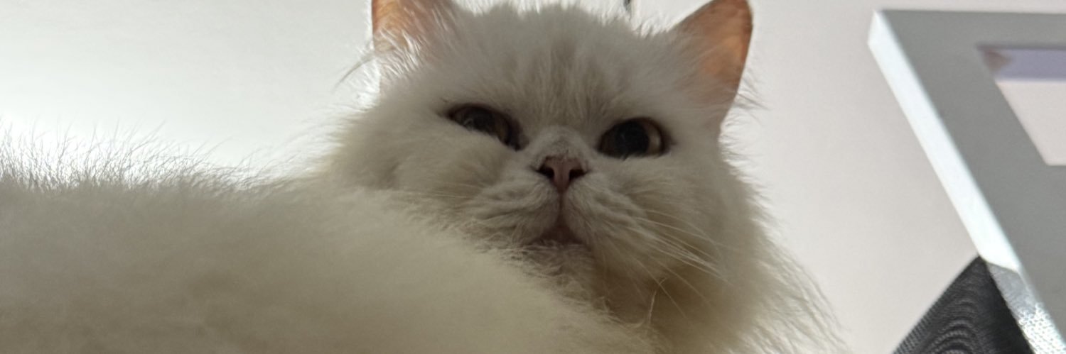 HAMPyEnt's profile banner image