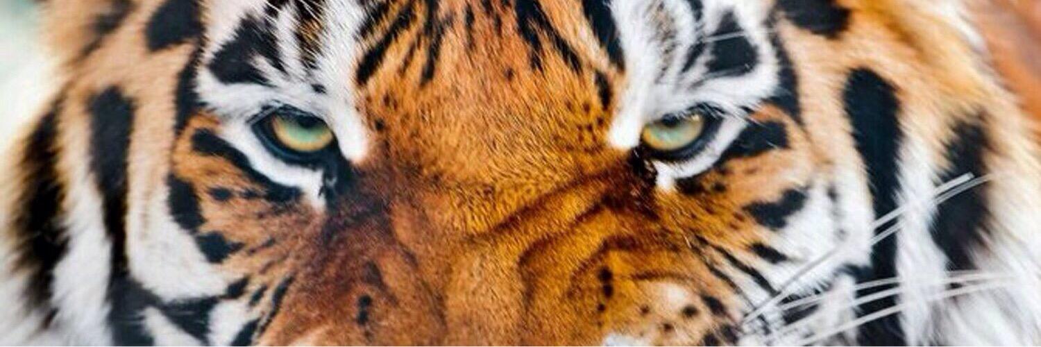 SarahUST's profile banner image