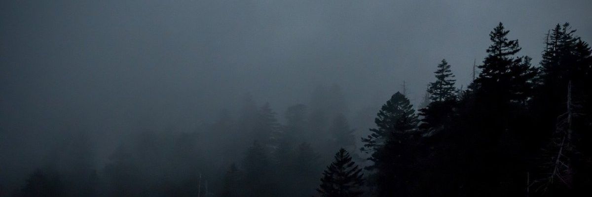 SneakyNickit's profile banner image